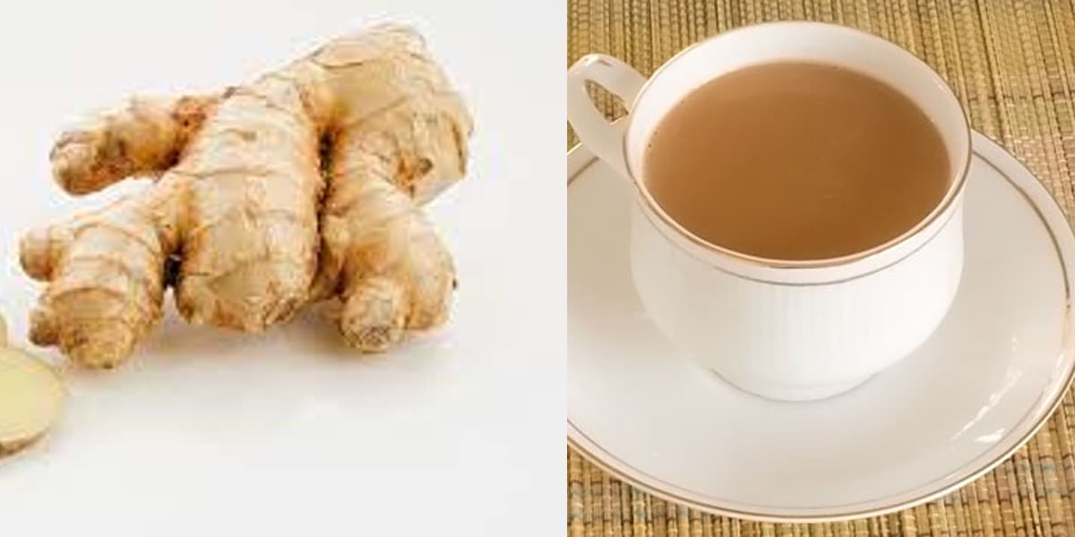 सर्दियों में अदरक वाली चाय पीते हैं तो हो जाएं सवधान, हो सकती है सेहत संबंधी ये परेशानी