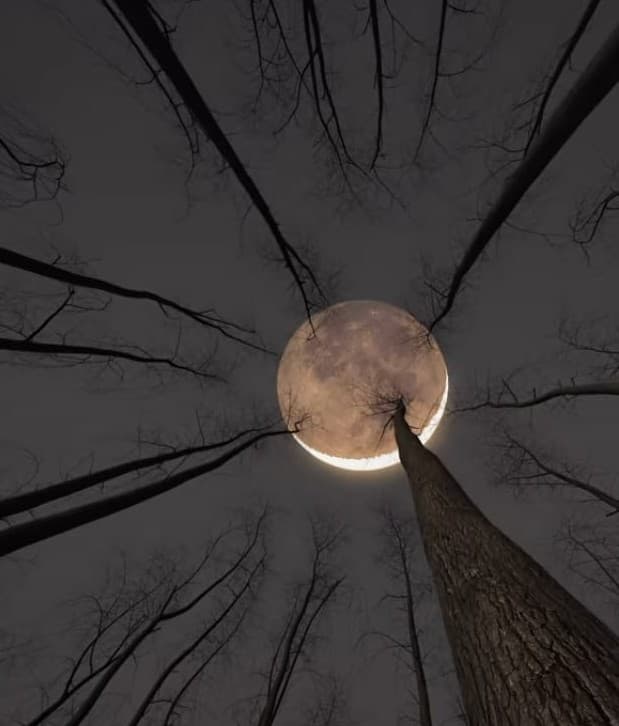 Chaitra Purnima 2023: चैत्र पूर्णिमा आज, यहां जानिए शुभ मुहूर्त और महत्व