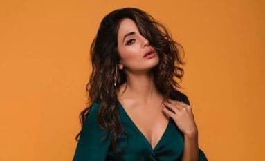 हिना खान थाई स्लिट गाउन में दिखीं बेहद बोल्‍ड, सोशल मीडिया पर वायरल हुई 'नागिन' एक्‍ट्रेस की हॉट फोटो