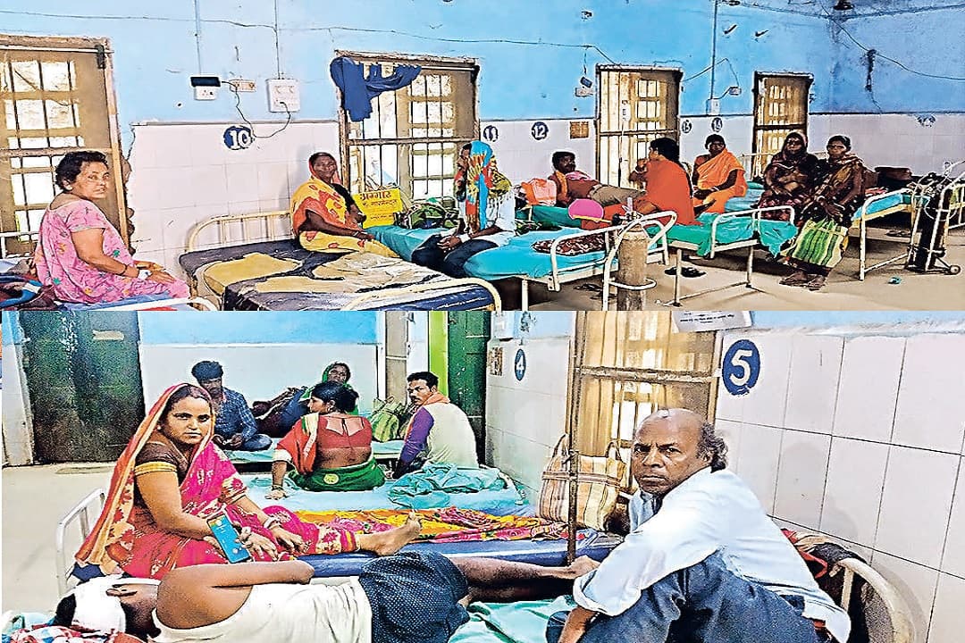 Bihar News: भीषण गर्मी व तेज धूप का लोगों पर असर, सदर अस्पताल 20 प्रतिशत मरीजों की हुई बढ़ोतरी Bihar News: भीषण गर्मी व तेज धूप का लोगों पर असर, सदर अस्पताल 20 प्रतिशत मरीजों की हुई बढ़ोतरी