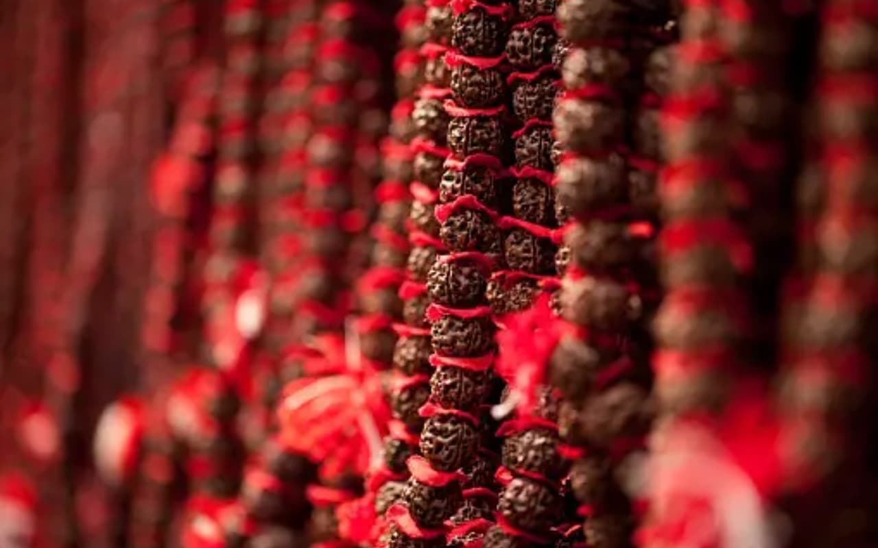 Rudraksha Benefits: टेंशन, सिरदर्द से चाहते हैं छुटकारा, तो पहनें रुद्राक्ष की माला