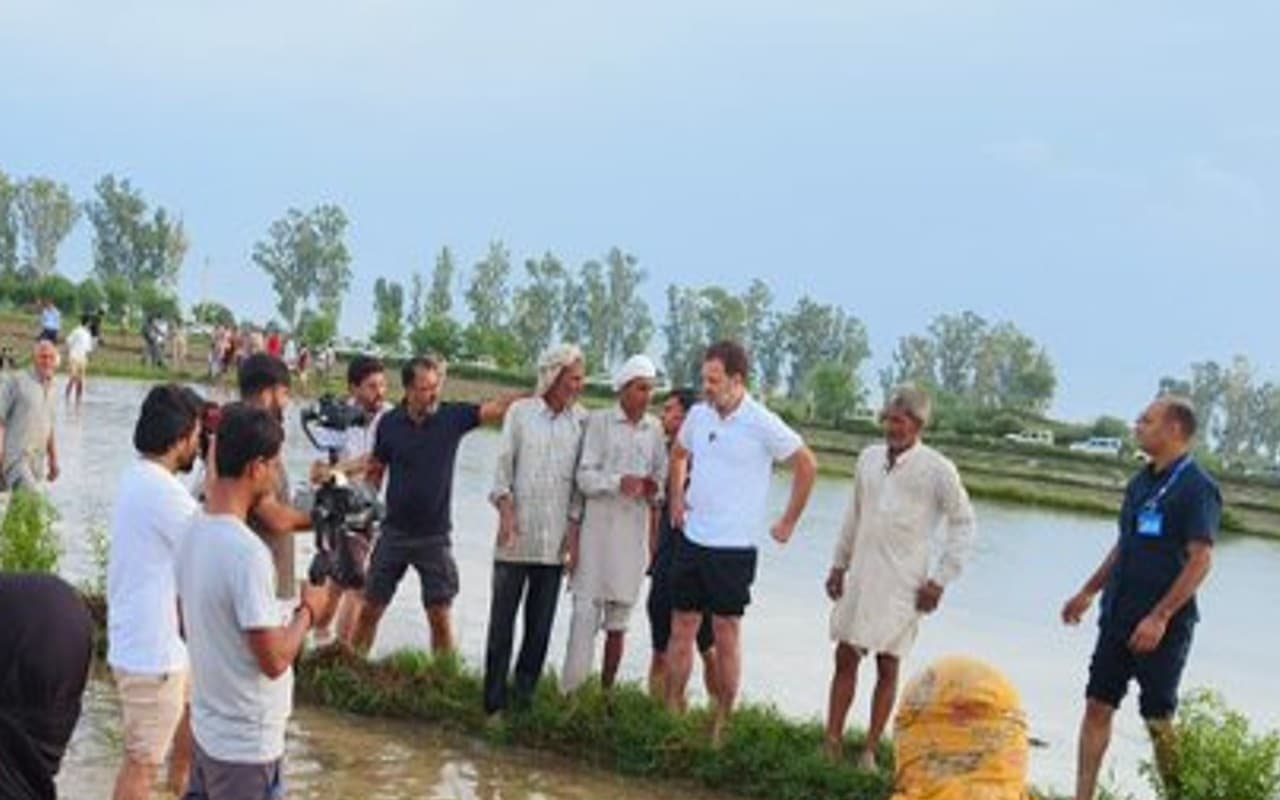 राहुल गांधी सुबह-सुबह पहुंचे खेत, ट्रैक्टर से जुताई की, किसानों के साथ धान रोपा, देखें वीडियो