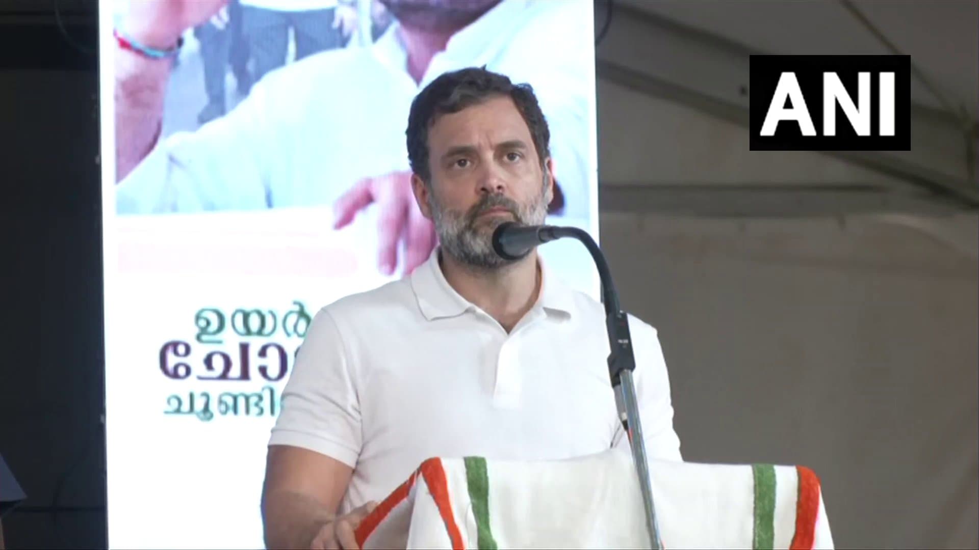 Bharat Jodo Yatra: राहुल गांधी बोले- पूरे दिन पैदल चलने बाद भी मैं ज्यादा ऊर्जावान महसूस कर रहा हूं