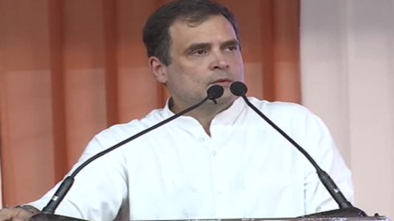 Congress President Polls: राहुल गांधी को कांग्रेस अध्यक्ष क्यों बनाना चाहती है बीजेपी?