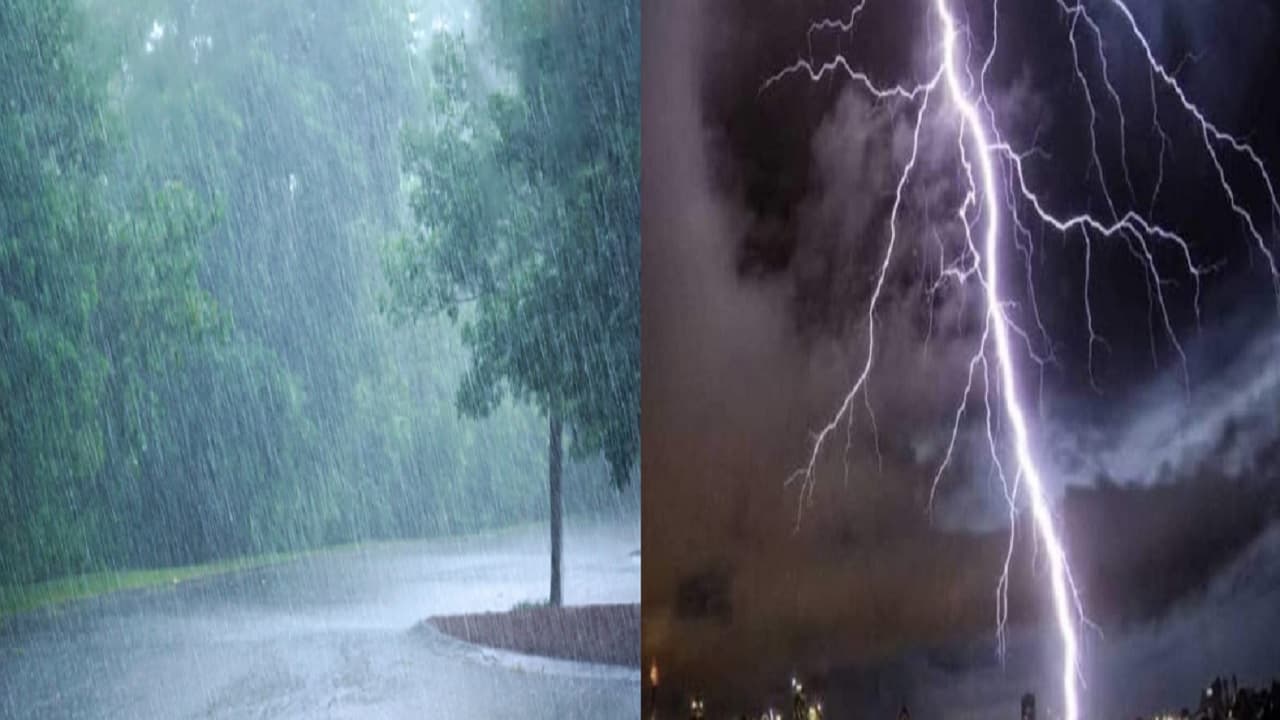 Bihar Weather: बिहार में बारिश और वज्रपात का अलर्ट, 15 अगस्त तक का मौसम पूर्वानुमान जानिए....