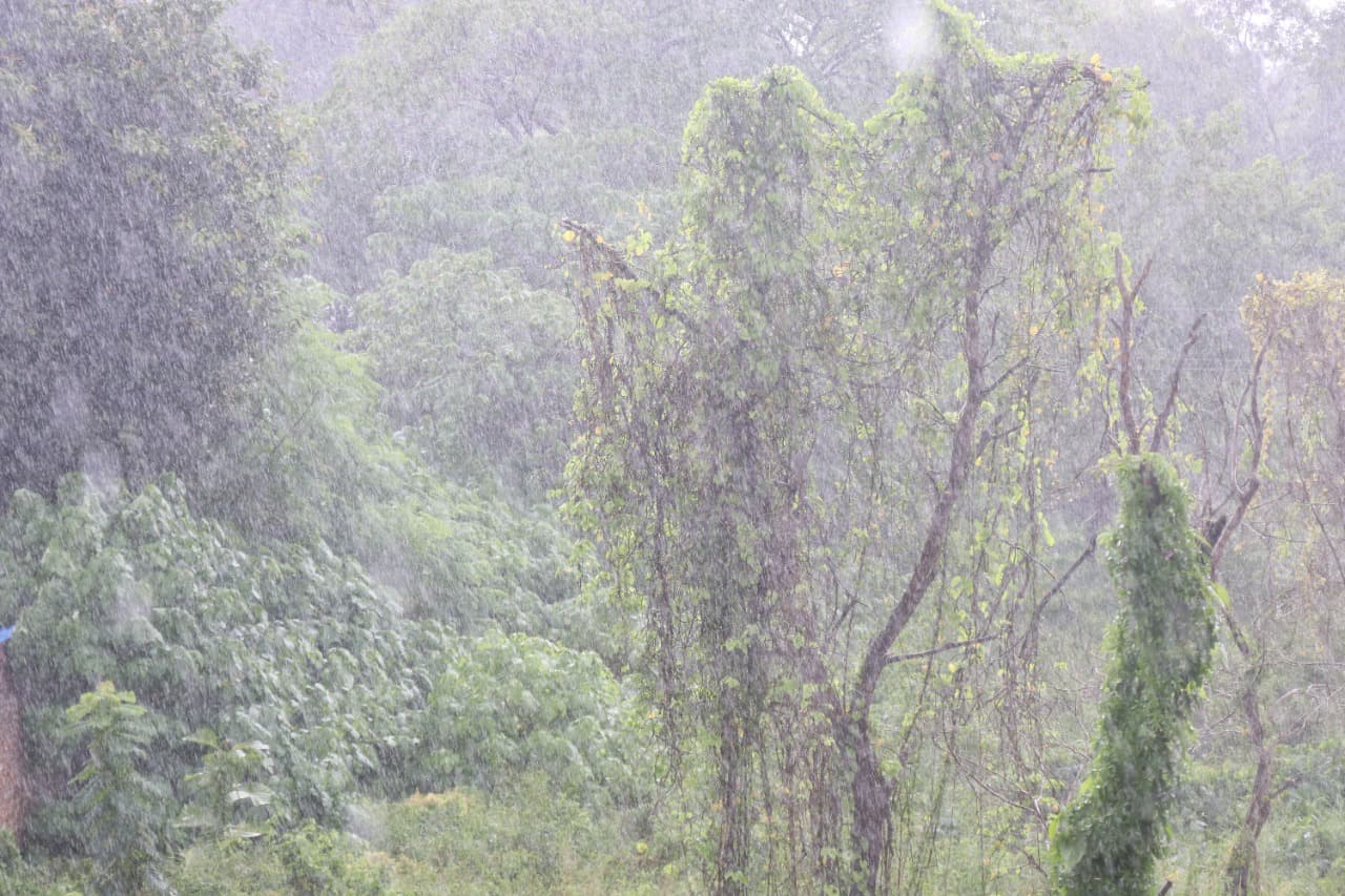 Jharkhand Weather Forecast : रांची में हो रही झमाझम बारिश, झारखंड के इन जिलों में कुछ ही घंटे में होगी बारिश