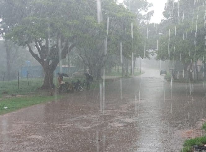 UP Weather Update: IMD ने यूपी में जारी किया बारिश का अलर्ट, जानें अपने जिले का वेदर अपडेट