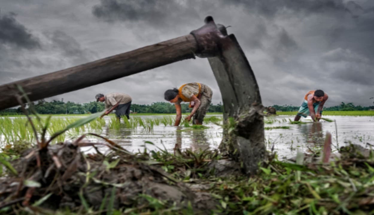 मौसम विभाग की भविष्यवाणी : इस साल भी ग्रामीण भारत अर्थव्यवस्था के लिए बनेगा 'सुरक्षा कवच', फसलों का बंपर होगा पैदावार