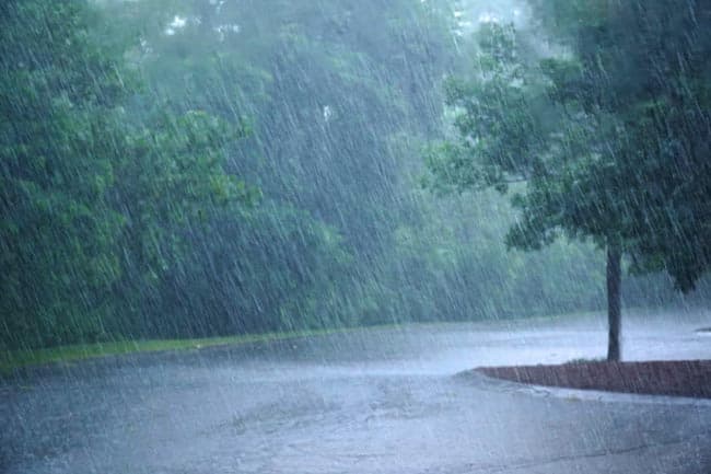 Weather Forecast: अगले दो दिनों में इन राज्यों में पहुंचेगा मानसून, दिल्ली को करना होगा अभी और इंतजार