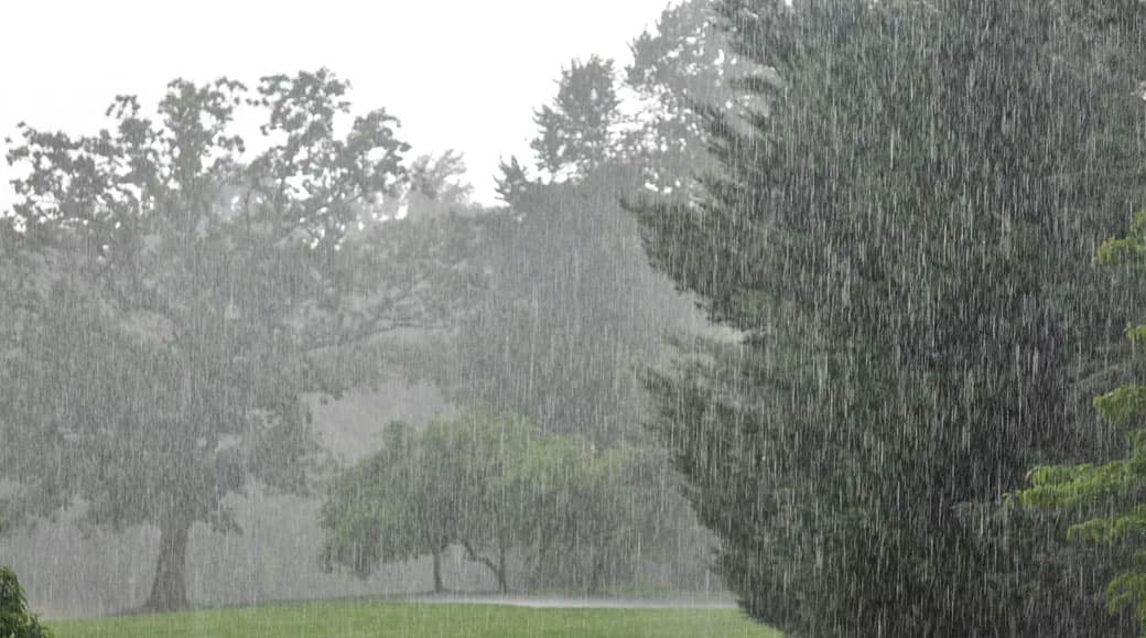 Jharkhand Weather Forecast : झारखंड के इन जिलों में बारिश के हैं आसार, वज्रपात की भी आशंका, जानिए ठंड से कब मिलेगी राहत