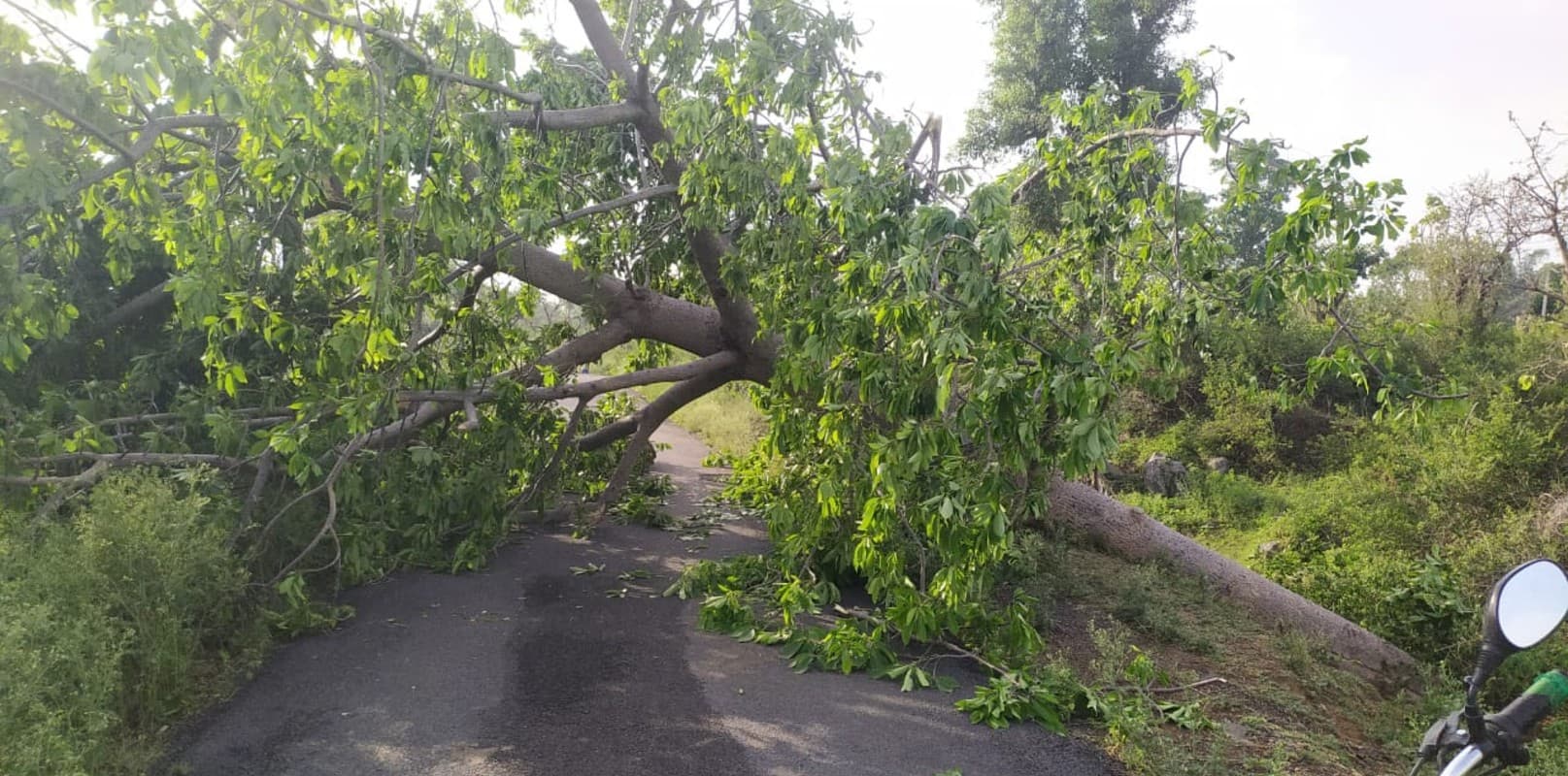 Weather Today in Jharkhand: झारखंड में आधा घंटा की आंधी-बारिश से गढ़वा के रमकंडा में भारी नुकसान, जमशेदपुर में 15 डिग्री गिरा तापमान