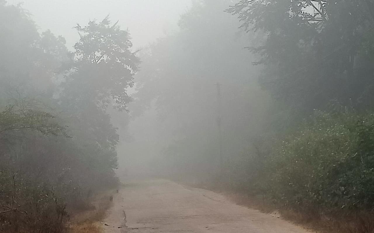 झारखंड: कोहरे, ठंड और बारिश से जनजीवन अस्त-व्यस्त, पांचवीं तक की कक्षाएं सुबह 10 बजे से, फ्लाइट रद्द