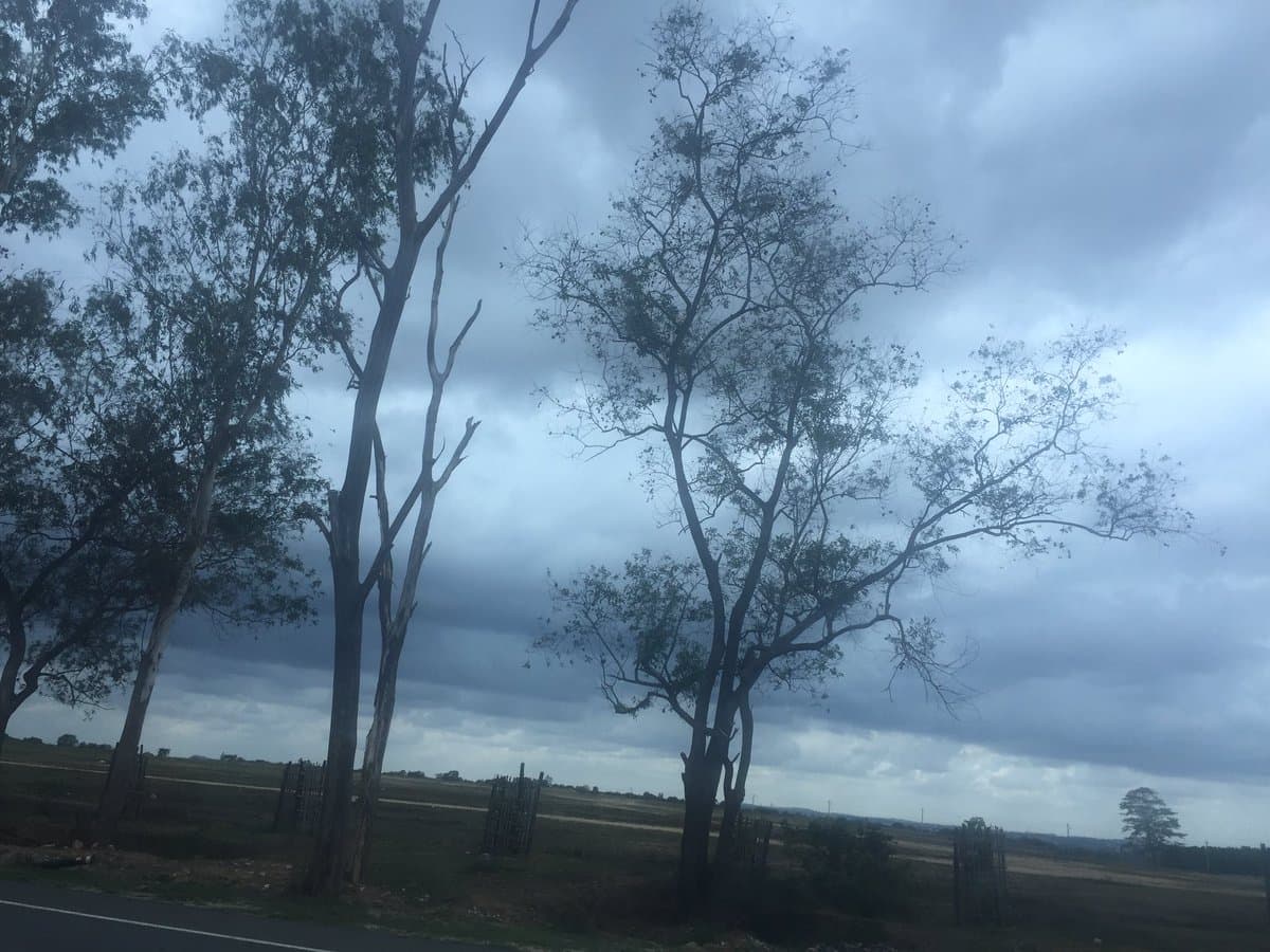 18 मार्च से फिर शुरू होगा झारखंड में बारिश का दौर, जानें रांची में कितने दिन होगी वर्षा