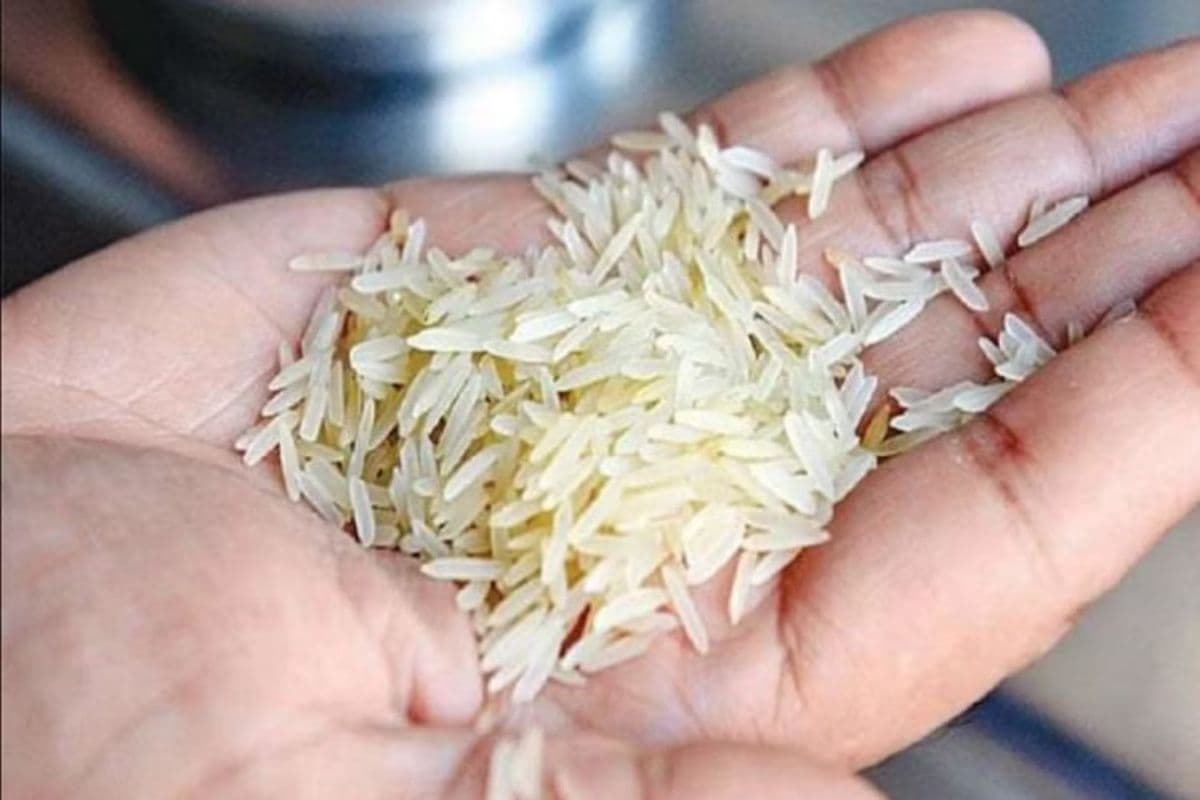 विधानसभा में भाजपा विधायक तापसी मंडल ने लगाया आरोप, राशन दुकानों में बांटे जा रहे प्लास्टिक चावल