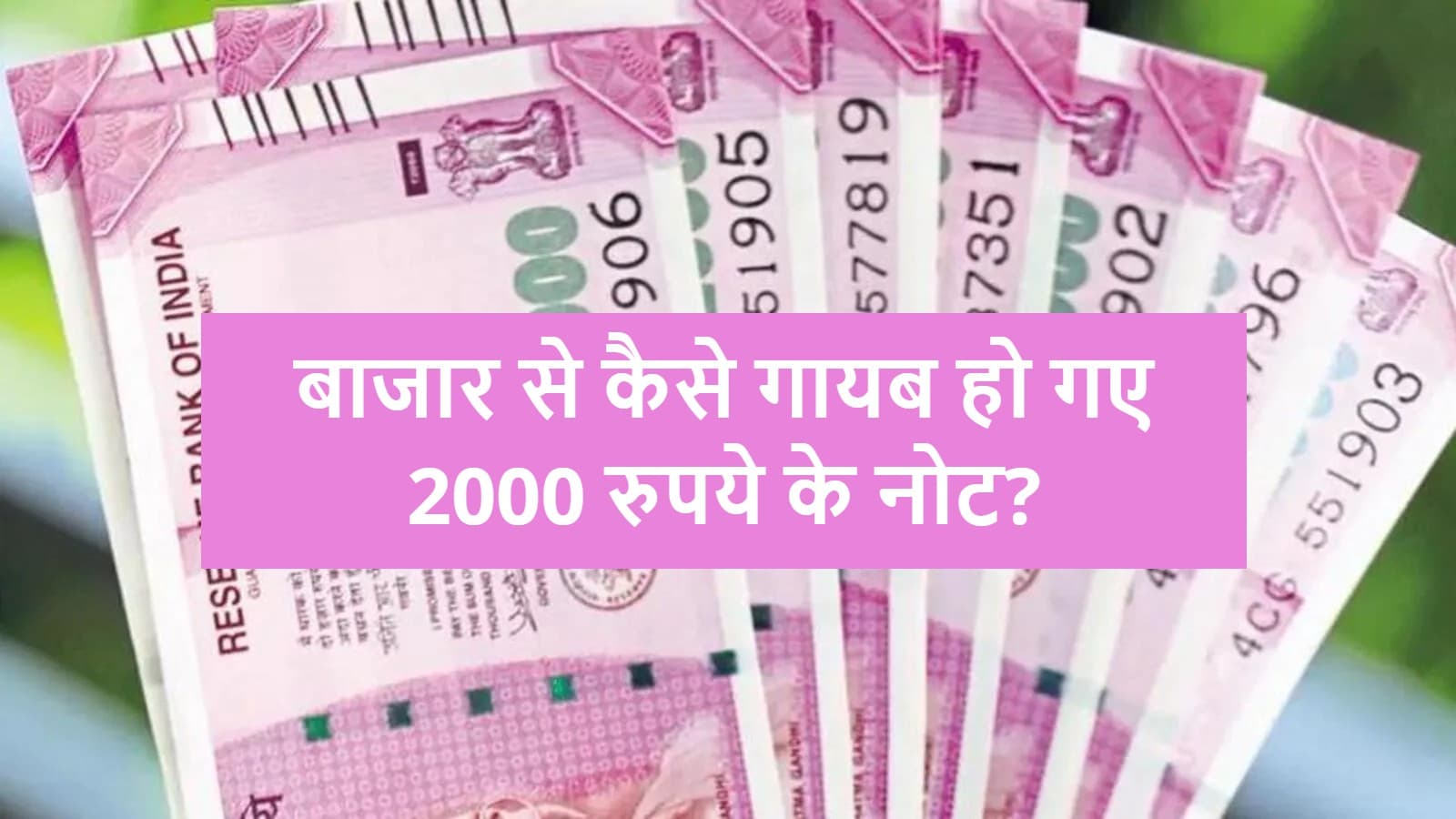 बिहार में 1000 करोड़ मूल्य के गुलाबी नोट आज भी चलन में, जानिए क्यों नहीं दिखते 2000 के नोट...