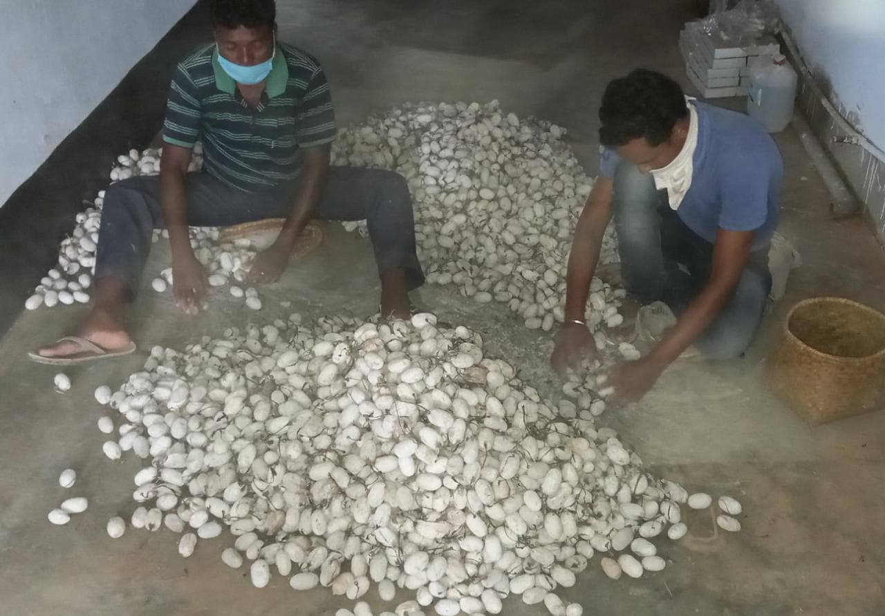 उद्योग विभाग के अधिकारियों ने कोल्हान समेत पूरे राज्य में रेशम उत्पादन बढ़ाने पर किया मंथन