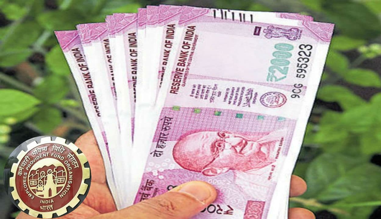 EPF से जुड़े कर्मचारियों को अब Free मिलेगा 7 लाख रुपये तक का बीमा लाभ, जानिए कैसे मिलेगा फायदा...