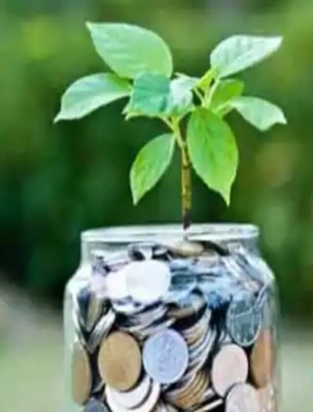 साउथ फिल्मों के सुपरस्टार अल्लू अर्जुन के साथ नजर आएंगी बिहारी गर्ल संचिता बसु, TikTok ने दिलाई थी पहचान