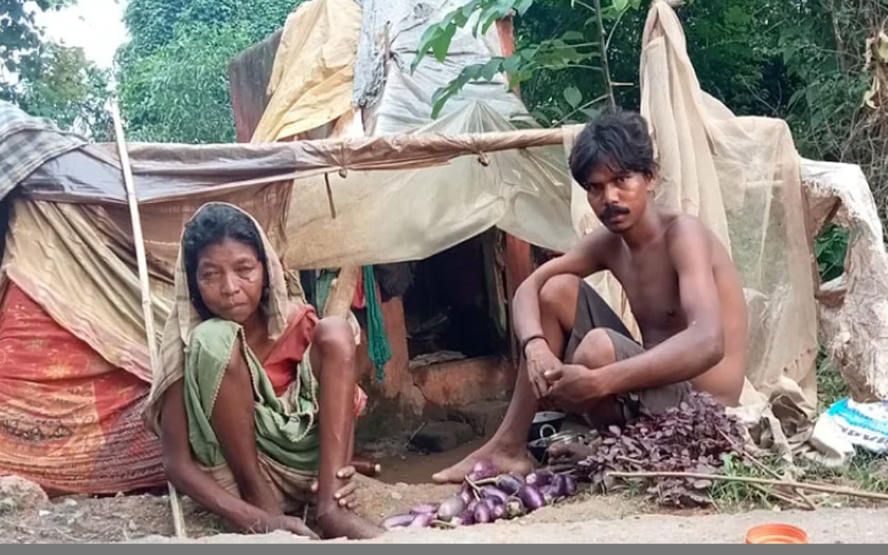 पूर्वी सिंहभूम के सबर और आदिम जनजाति का होगा विकास, DC ने इस तारीख से प्रखंडों में कैंप लगाने का दिया निर्देश