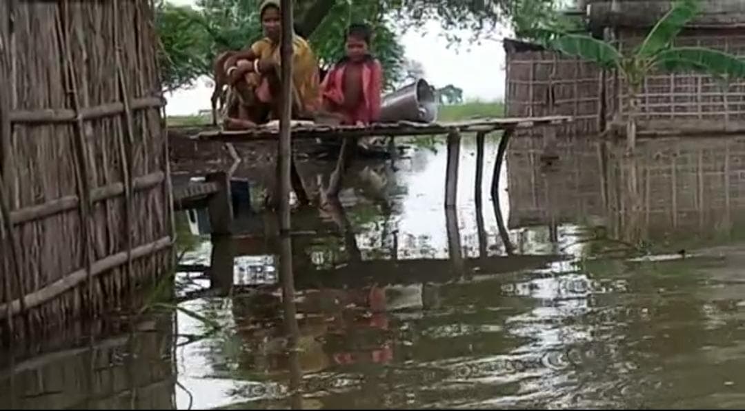 कटिहार के अमदाबाद में मचान पर सो रहे बाढ़ पीड़ित को सांप ने डंसा, मौत