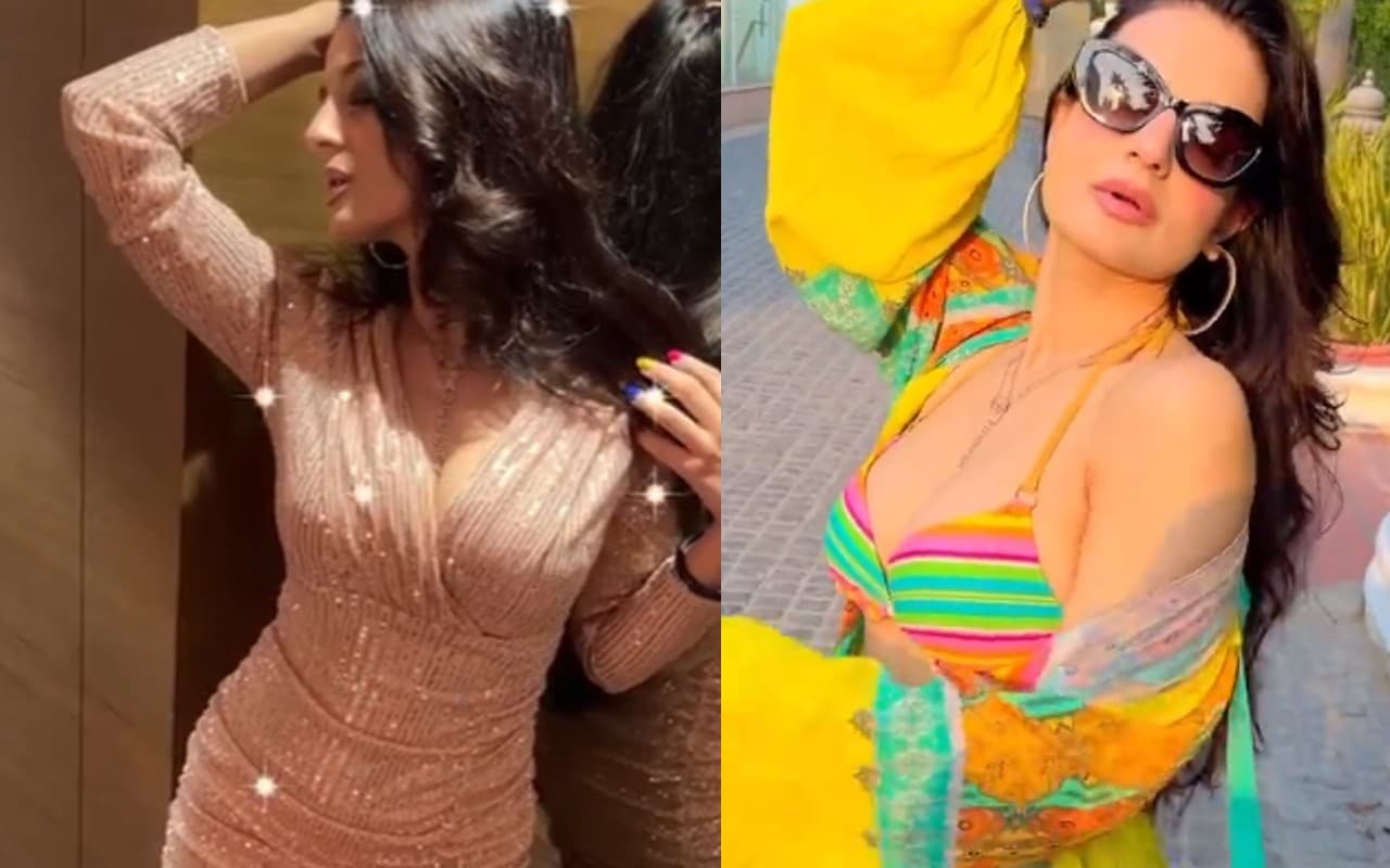 Gadar: तारा सिंह की सकीना का इस पाकिस्तानी एक्टर संग था अफेयर? अमीषा पटेल ने लिंकअप की खबरों पर कही थी ये बात