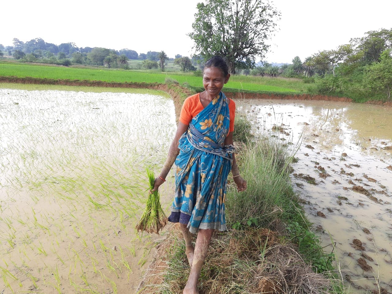 Tokyo Olympics 2020 : जश्न के बाद धनरोपनी में जुटा भारतीय महिला हॉकी टीम की Salima Tete का परिवार