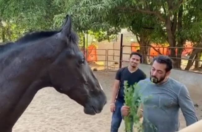 केंद्रीय मंत्रिमंडल से मंत्रियों के अचानक बाहर होने पर सलमान खुर्शीद बोले, यह कदम खड़े करता है बहुत सारे सवाल