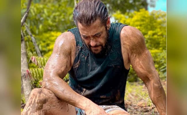 बिहार चुनाव में कांग्रेस के खराब प्रदर्शन को लेकर सोनिया-राहुल की आलोचना किए जाने के बीच सलमान खुर्शीद ने कही ये बात