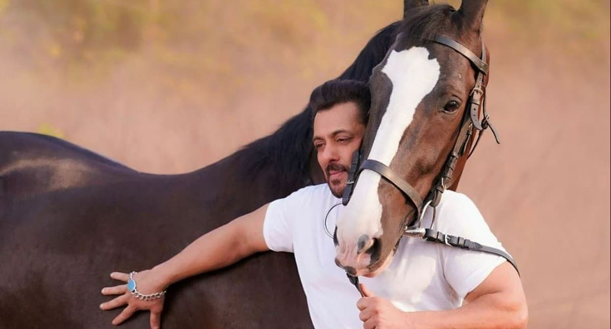 सलमान खान ने घोड़े के साथ शेयर की ये जबरदस्त तसवीर, फैंस ने कमेंट में लिखा- कड़क फोटो भाई...