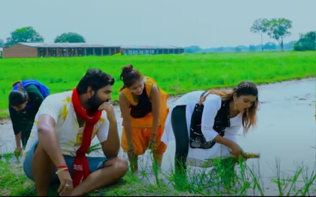 Bhojpuri Songs: समर सिंह का नया गाना 'रोपनी करेलु सनम' रिलीज, खेत में रोपनी करते दिखें एक्टर