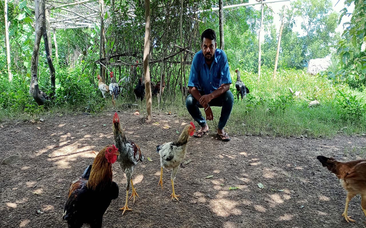 झारखंड : समेकित कृषि प्रणाली से पूरे साल आमदनी कर सकेंगे किसान, 2007 से संचालित है मॉडल