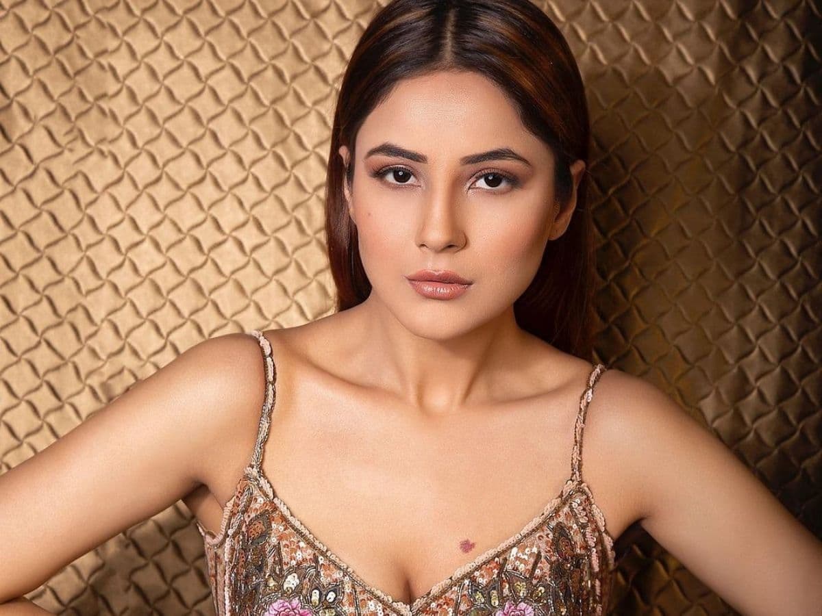 शहनाज गिल ने इस वजह से Katrina Kaif को बताया ‘पंजाब की कैटरीना कैफ’, सोशल मीडिया पर वीडियो वायरल