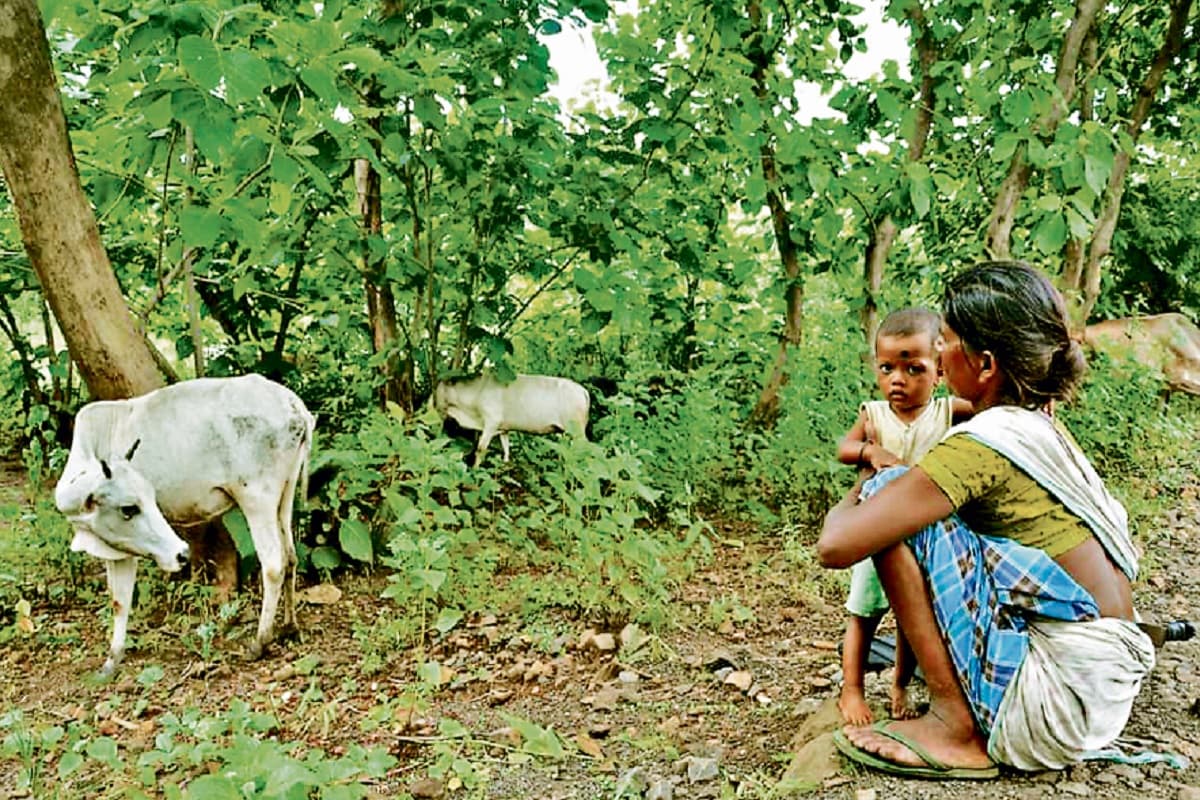 संताल परगना (जंगलतराई) के पहाड़िया और घटवाल