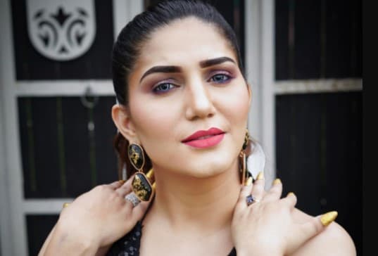 सपना चौधरी ने कराया ग्लैमरस फोटोशूट, बैकलेस ड्रेस में बेहद हसीन दिखीं एक्ट्रेस