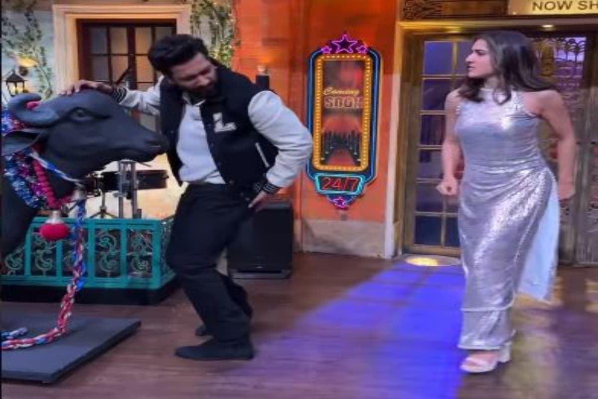 सारा अली खान को छोड़ भैंस के साथ रोमांस करते दिखे विक्की कौशल, फिर एक्ट्रेस ने जो किया उसे देख रह जाएंगे दंग