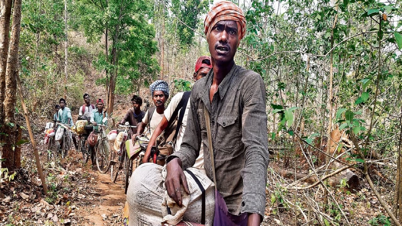 झारखंड के सारंडा जंगल में फिर गांव बसाने की तैयारी, काट डाले 10 हेक्टेयर जंगल, 55 घुसपैठियों को निकाला
