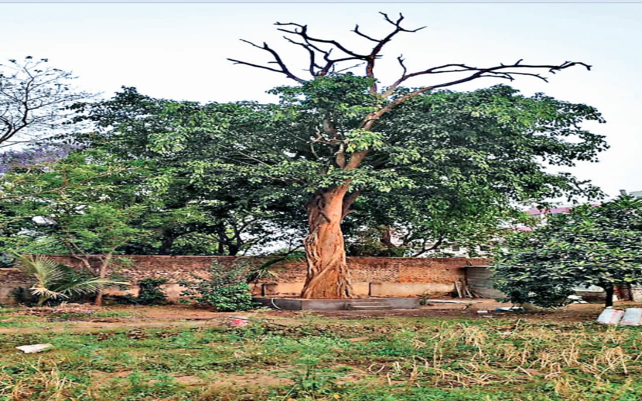 Sarhul Festival: सिरमटोली सरना स्थल को बचाने के लिए हुई थी सरहुल शोभायात्रा की शुरुआत