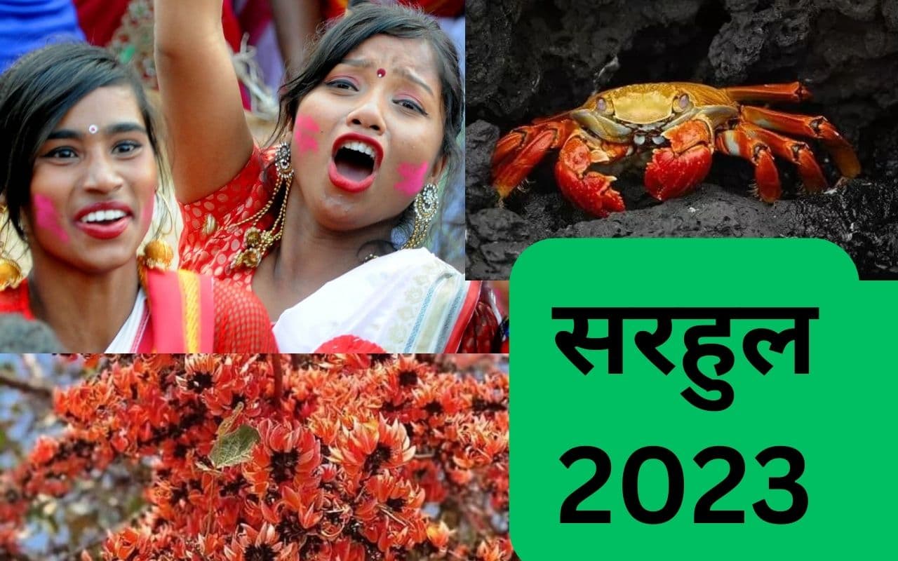 सरहुल में केकड़ा का महत्व : साल के फूल की तरह केकड़ा भी है जरूरी