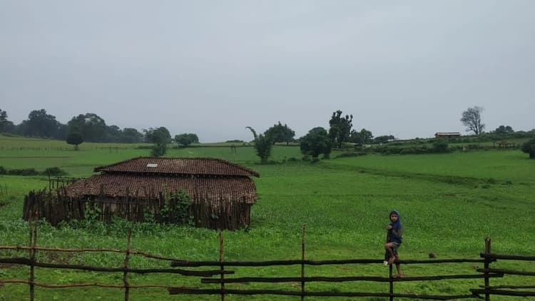 UP Weather: लखनऊ में बारिश के बीच खिली धूप, यूपी के इन जिलों में बारिश का अलर्ट जारी, जानिए मौसम का हाल