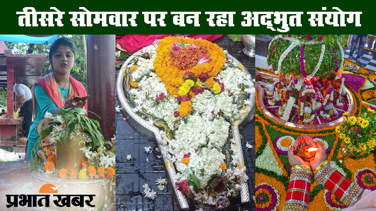 Hariyali Amavasya 2020: 47 साल बाद बन रहा ऐसा संयोग, जानें क्यों है इस बार का सोमवती अमावस्या बेहद खास…