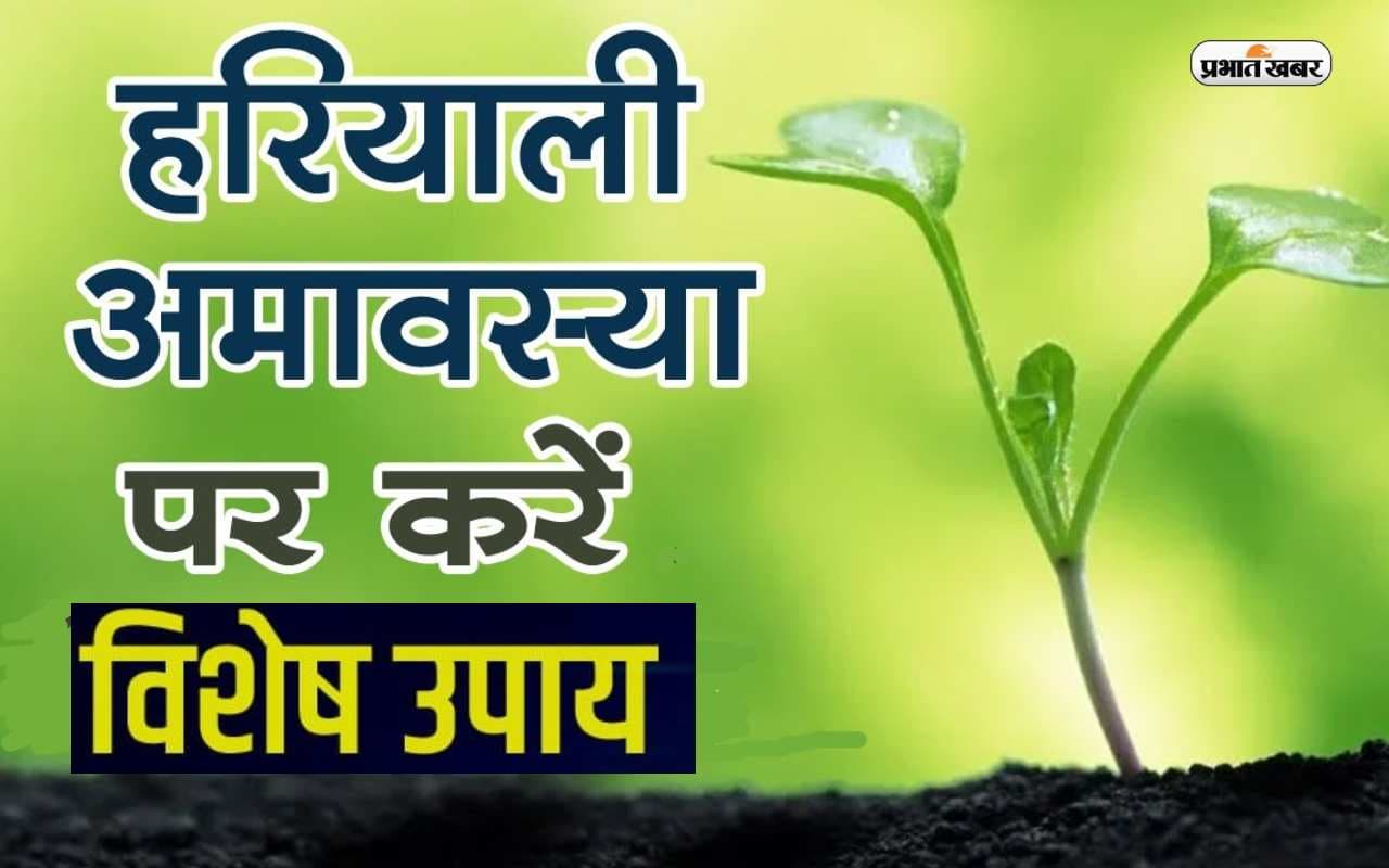 Hariyali Amavasya 2023: सावन हरियाली अमावस्या पर जरूर करें ये उपाय, जानें शुभ मुहूर्त और तिथि