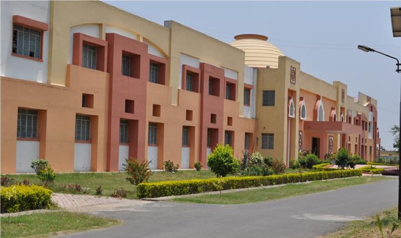 BIT पटना ने शुरू किया चार साल का BBA-BCA कोर्स, इंटर में इतने नंबर होने पर मिलेगा डायरेक्ट एडमिशन