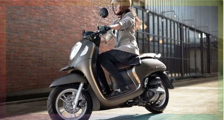 Honda Scoopy Scooter अपने कॉम्पिटिटर्स को देगी कड़ी टक्कर, जल्द हो सकती है भारत में लॉन्च