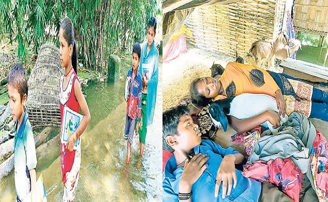 Bihar Flood: बाढ़ के आगे बेबस जिंदगी, छत पर तंबू बनाकर रहते लोग, जानवरों के बगल में सोकर कटती पूरी रात