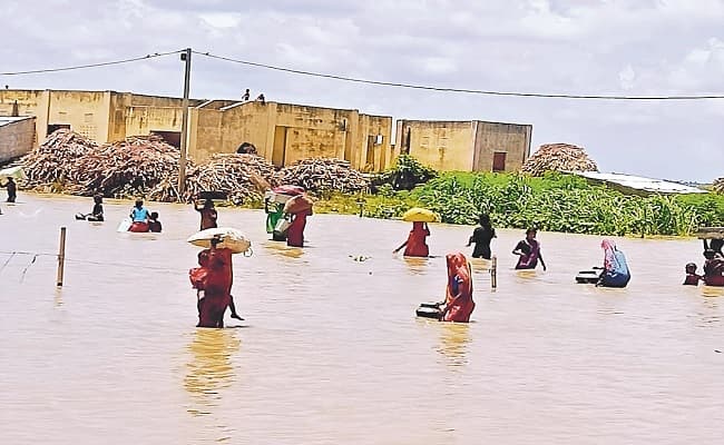 Bihar Flood: गंगा, कोसी और बरंडी नदी के बढ़ते जलस्तर से दशहत का माहौल, कटिहार में कटाव बनी मुसीबत
