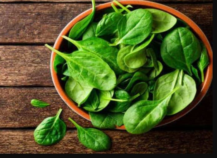 इन तरीकों से करेंगे स्टोर तो पालक नही होंगे कभी खराब