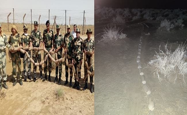 बारिश-तूफान के बीच आधी रात को पाकिस्तान भेज रहा था सेहत खोखला करने का हथियार, सीमा पर BSF ने मंसूबे पर फेरा पानी