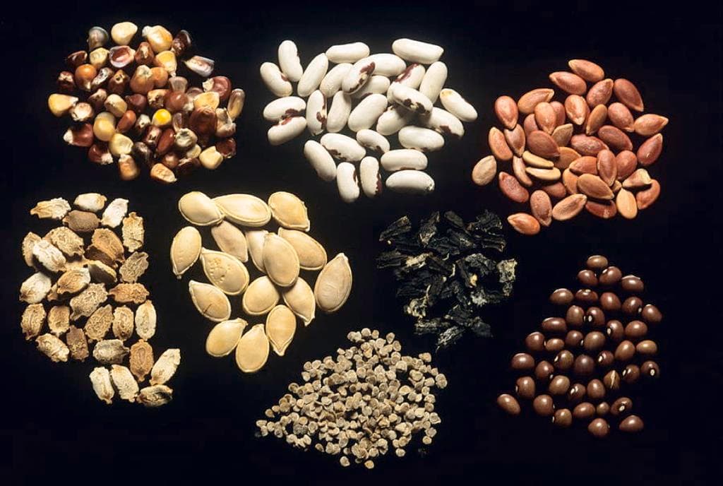 नहीं बंटा पूरा बीज, चिह्नित किये जायेंगे दोषी