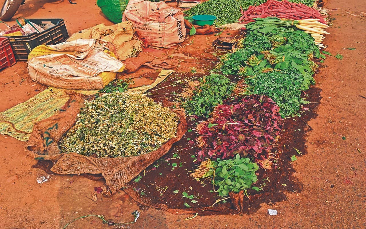 Health Benefits: सहजन के फल व फूल ही नहीं, पत्तियों से भी दूर होती हैं बीमारियां, जानें इसके कई फायदें