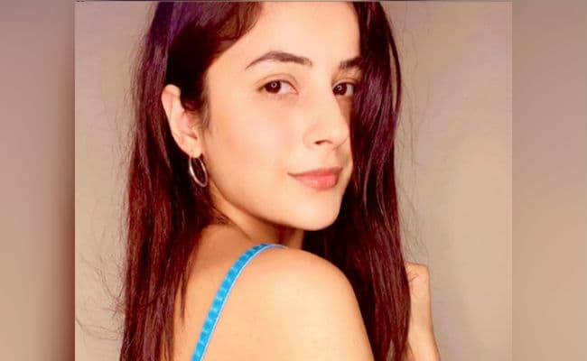 शहनाज गिल की इस दिलकश तसवीर पर फिदा हुए फैंस, बोले- आपको हक नहीं बनता कि...